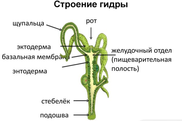 Как зайти на площадку кракен