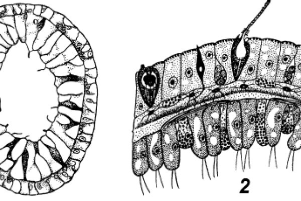 Kra17.cc