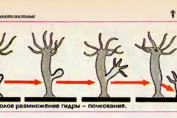 Кракен тор ссылка онион