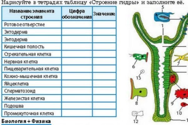 Кракен вместо гидры