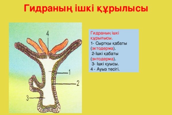 Официальная тор ссылка кракен сайта